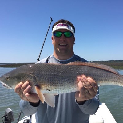 mtsudawg's profile picture. 