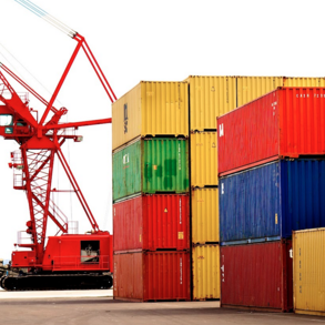 Dkr_cont1's profile picture. 