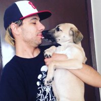 Pigman #PEPPA (@pigman_extreme) 's Twitter Profile Photo Pigman #PEPPA (@pigman_extreme) 's Twitter Profile Photo