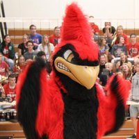 Cardinal Chatter (@thscardchatter) 's Twitter Profile