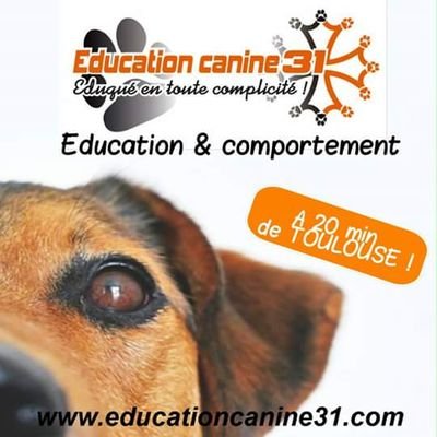 Educateurs canins et comportementalistes médiateur pour animaux de compagnie diplômée ! Proche de Toulouse et du Gers ! 
https://t.co/ObkcXAkwi9