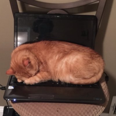 AnnoyingMom70's profile picture. 