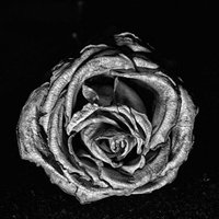 CROWS AS DIVINE (@cadofficialjkt) 's Twitter Profile