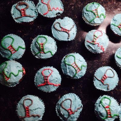 mother, (RNA) scientist, cupcake lover