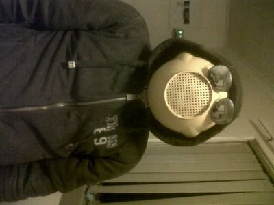 kingwasabbi's profile picture. 