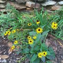 Laura Mallory - @laurakmallory - Twitter