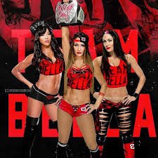 iam the Fearless Baddest Longest Reigning Divas Champion rl Sister @BrianaColace #RackAttackCrew #TeamBella #TeamBAD Attitude Twins Divas Revolution