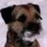 Alena Skalova (@adalelow) 's Twitter Profile