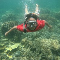 Tedy Prabowo (@tedyprabowo19) 's Twitter Profile