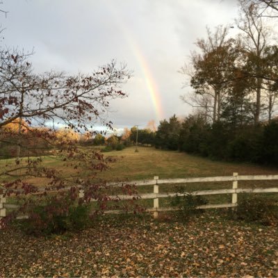 CathyCath72603's profile picture. 