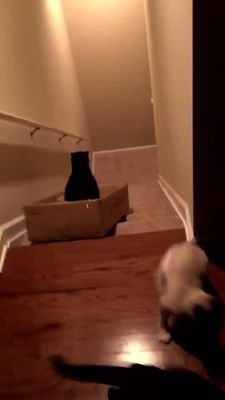 Drscholls72's profile picture. MBA from @UTChattanooga ('12), Bachelor of Science in Advertising from @MTSU ('10).. music, fantasy football, @MTAthletics, @nascar, and @Broncos are my hobbies