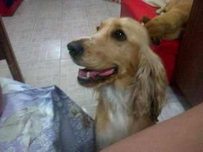 hugoarivero's profile picture. 