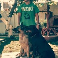 Nico (@nicolasz88) 's Twitter Profile