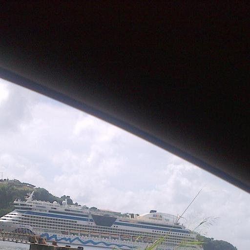 xandri65's profile picture. 