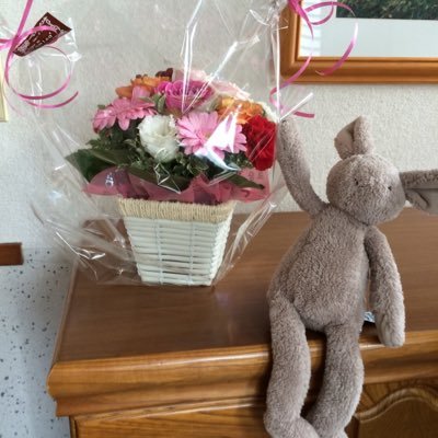 関東・視能訓練士。まだまだ勉強中です。仕事のこと、他のこともいろいろ呟いたりします。うさぎ(のぬいぐるみの)ポーと淡々と2人暮らし。好きなもの:自然、平和、綺麗な水、動物(特に柴犬)甘いものなど