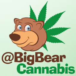 BigBearCannabis Profile Picture