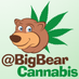 Big Bear Cannabis (@bigbearcannabis) Twitter profile photo Big Bear Cannabis (@bigbearcannabis) Twitter profile photo