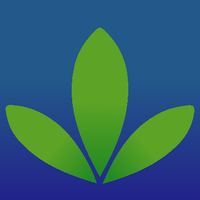 Cannabis Scotland (@cannabisdotscot) 's Twitter Profile