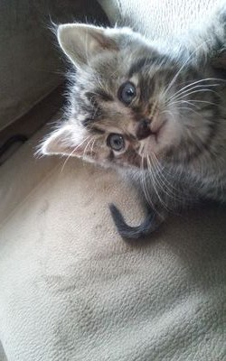 DavidGorter's profile picture. 