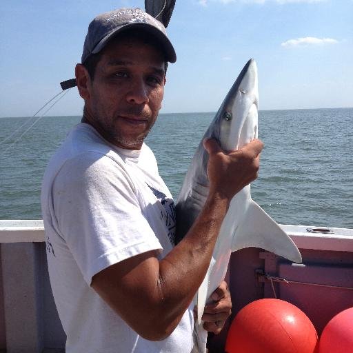 Associate Prof of Biology @UofNorthFlorida, Director of the UNF Shark Biology Program, and Director of the UNF Coastal and Marine Biology Flagship Program