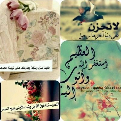 alraeesisara's profile picture. سُبْحَانَ اللَّهِ ، وَالْحَمْدُ لِلَّهِ ، وَلا إِلَهَ إِلا اللَّهُ ، وَاللَّهُ أَكْبَرُ