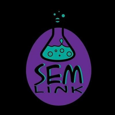 SEM Link Inc