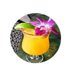 primrosekandy's profile picture. 