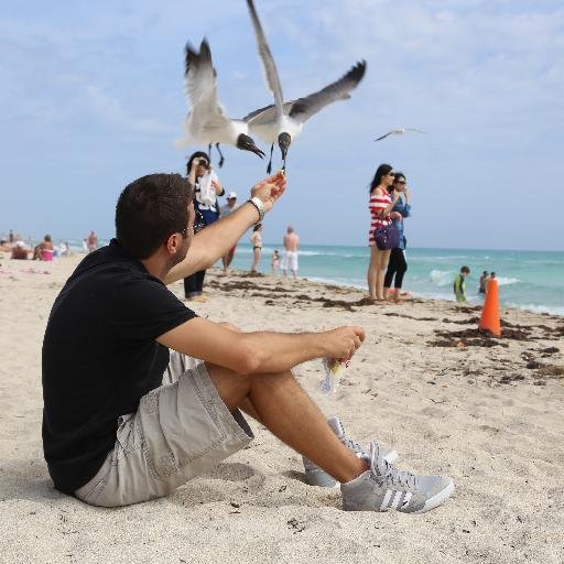 AloxCerescu's profile picture. Freelance Photographer
https://t.co/eEwQ2QP5UH
https://t.co/qu5HPSSKBc