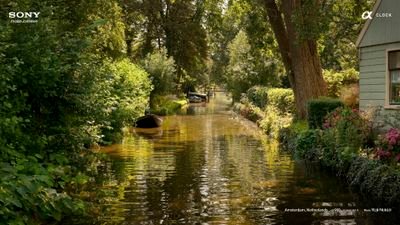 giannistosoun's profile picture. 