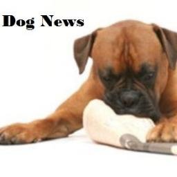 DOG NEWS - Sveriges största nyhetsblogg om hundar, med upptill 210 000 besökare i månaden! Vill du synas på Dog News - Tipsa oss om nyheter dognews@hotmail.se