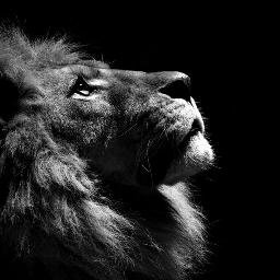 onyekachi562's profile picture. 