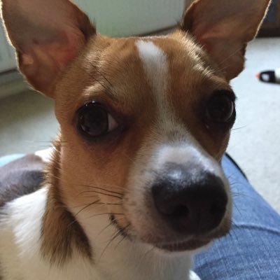 megbarrass's profile picture. 