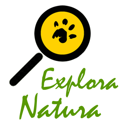 Proyecto de Educación Ambiental, aprendizaje y diversión en la Naturaleza. Educación en valores. Viajes de fin de curso y campamentos de verano.