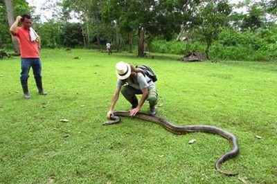 Tours operador turístico en la amazonía de Loreto.
A diferentes lugares y distintos programas turísticos.