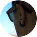 Sara 🍍 (@sarapaspal) Twitter profile photo Sara 🍍 (@sarapaspal) Twitter profile photo