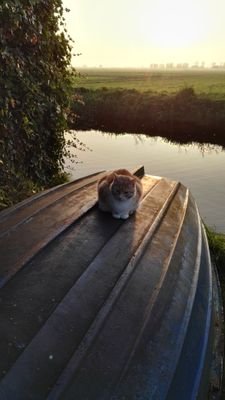 RobJoep's profile picture. 