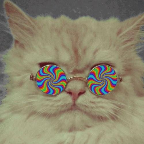 Foykariaris's profile picture. ....ειναι πολλοι αλλα ειναι σκόρπιοι....