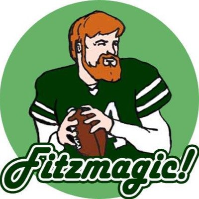 NotFitzmagic's profile picture. Parody account of the greatest bearded QB to ever walk onto any feild