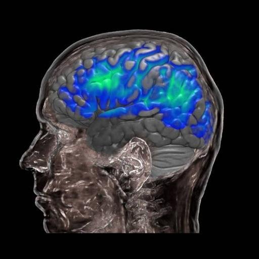 The Centre for Speech Language and the Brain. Lab in the Department of Psychology at Cambridge University