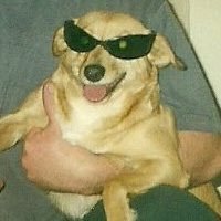 19maria84_'s profile picture. 