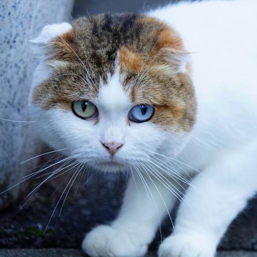 kingmamoru's profile picture. マモです。
札幌に住んでます。
自営業をしています。
SONYが好きです。