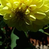 seda akıllı (@sedamuallime123) Twitter profile photo