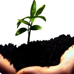 cris_oh2's profile picture. 