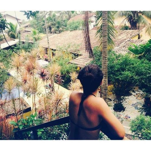 giosantosc's profile picture. SP|| Brasil Calma na alma❤️