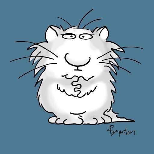 Margaret0777770's profile picture. Crabby old bag following the clues and trying to make enough sense of them not to fall off the edge.