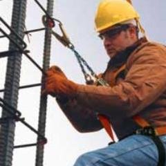 PalletRacker's profile picture. I'm here to educate about industrial and commercial use of rack pallets, shelving pallets, handling equipment, safety hazards, and then some. Share my articles!