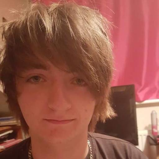 GillDaryl's profile picture. Web developer. Database analyst. Brand Ambassador