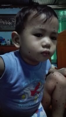 jellenietempla's profile picture.