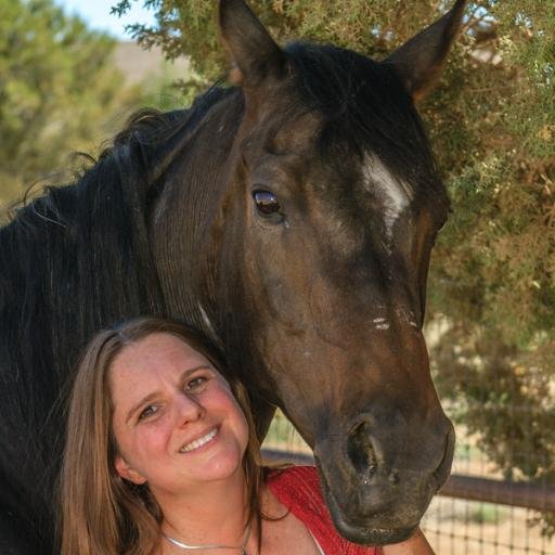 Living in my hometown Prescott AZ, former horse trainer, continuous animal lover & supporter. REALTOR w/ Realty ONE Group Mtn Desert.