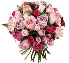 mlynda8's profile picture. 